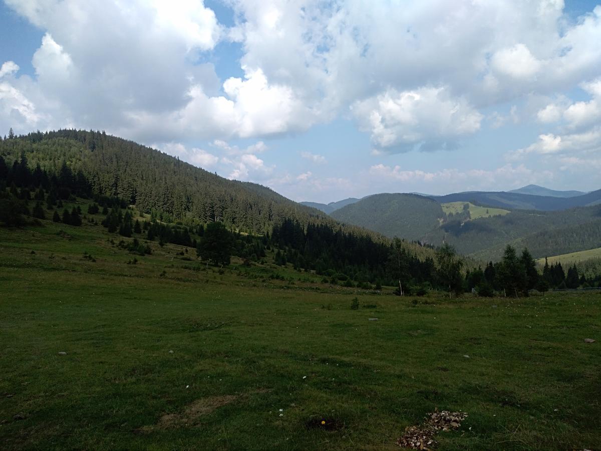 Котедж "Барвінок" Verkhovyna Luaran gambar