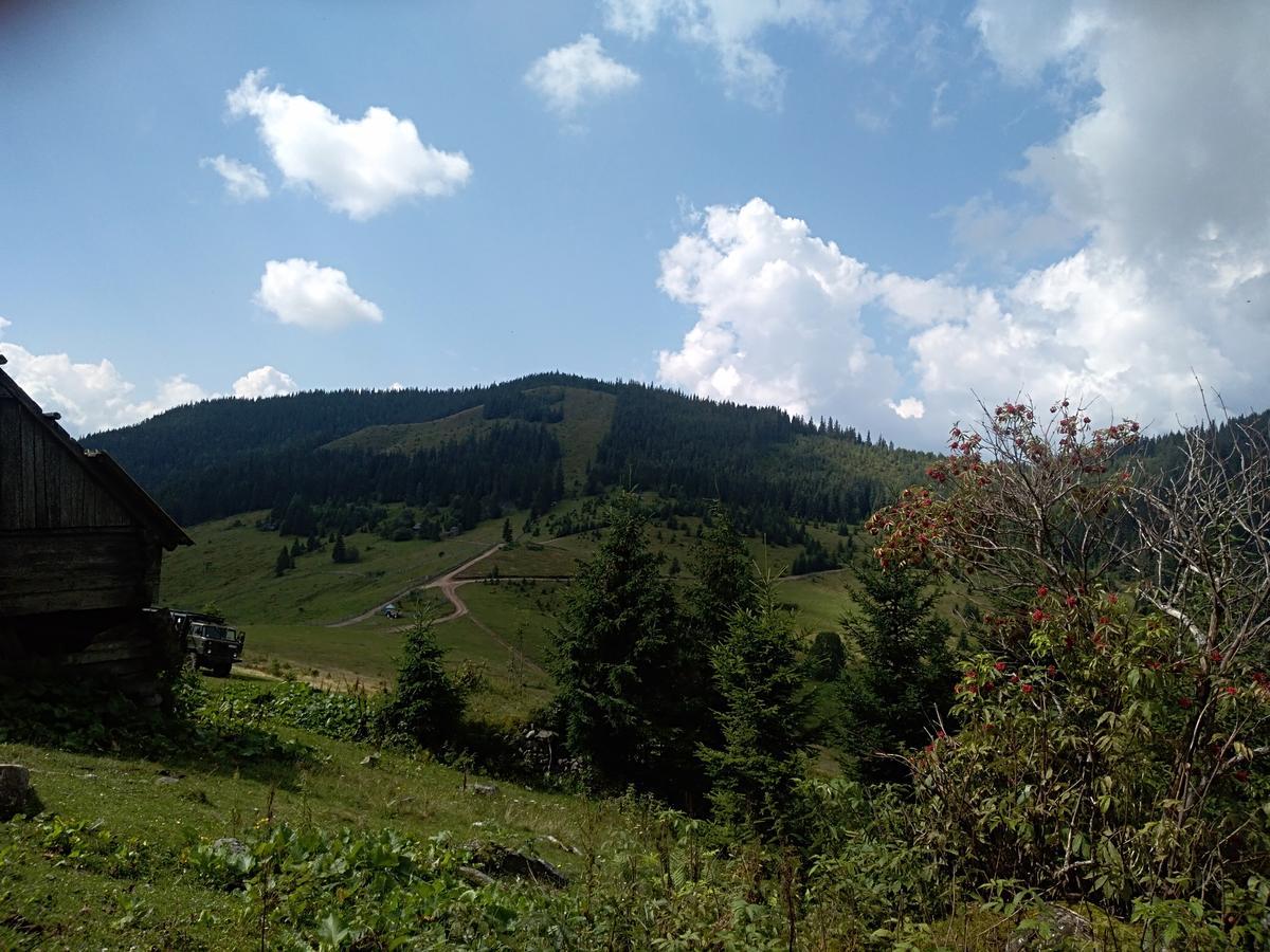 Котедж "Барвінок" Verkhovyna Luaran gambar