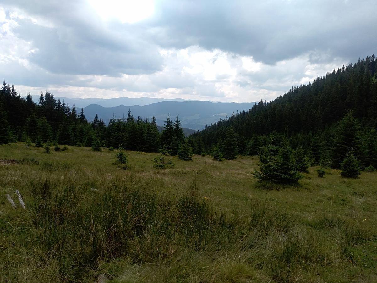 Котедж "Барвінок" Verkhovyna Luaran gambar